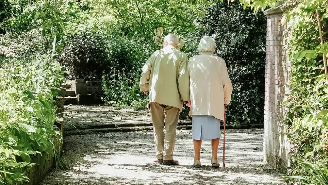 Hälsofrämjande utemiljö vid särskilda boenden för äldre
