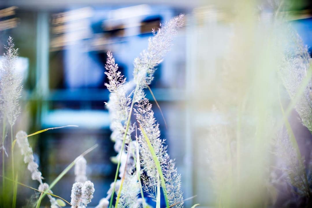 Tillsammans vid livets slut