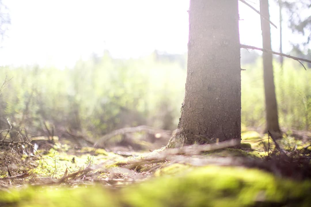 Entreprenörskap, särskilt för en levande landsbygd
