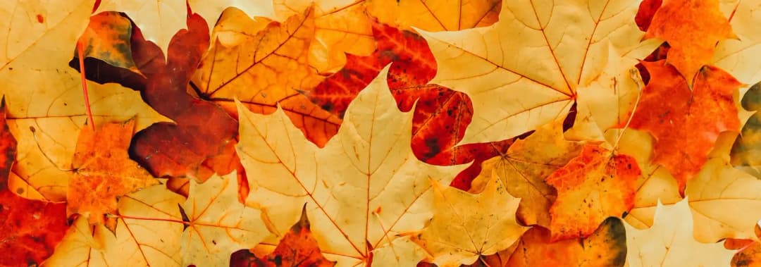 Karolinska Institutet och Läkare Utan Gränser lanserar nya kurser med stiftelsens stöd