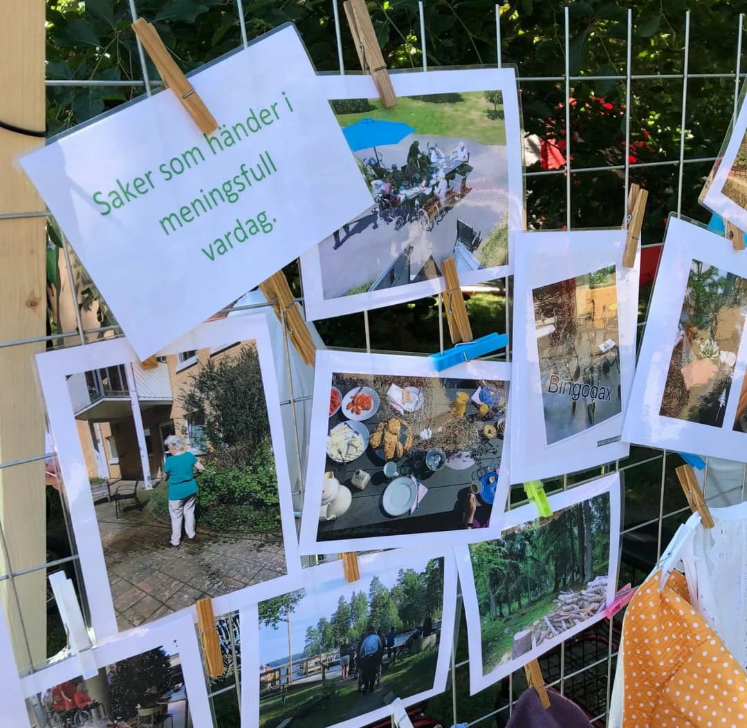 Bidrag till sociala äldreprojekt: Hjälpverksamhet bland behövande äldre 2018