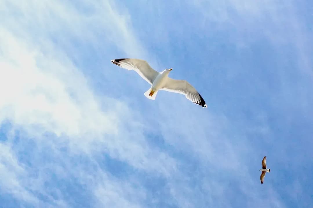 Framtida utmaningar i Norden – människan, kulturen och samhället