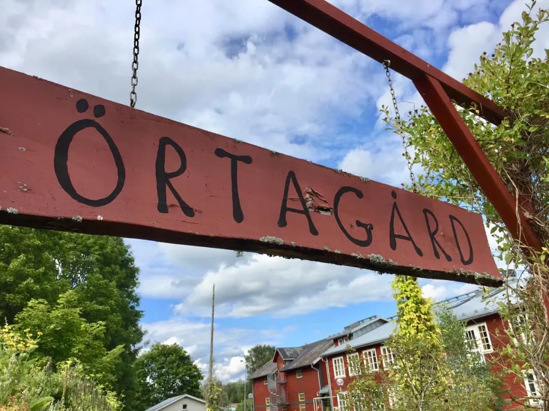 Trivselbussar för äldre